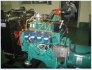 Cummins Gas Generator Set (30kVA-1250kVA) Cummins Gas Generator