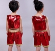 YY18-24 YY Fly Dance Concert Costume Puppets / Costume