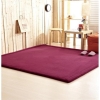 (190x190cm) Home & Living Tatami Style Floor Mattress Home Decor Home & Living