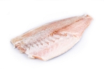 Asian Seabass Fillet (XL) Fish