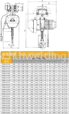 ShuangGe Electric ChainHoist 3tx5m 4m/min 3kW 131kg WHD5-0302SE Shuang Ge Electric Chain Hoist Electric Chain Hoist Chain Block & Chain Hoist