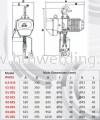 ShuangGe Electric ChainHoist 2tx5m 3.4m/min 1.5kW 73kgWHD5-0202S Shuang Ge Electric Chain Hoist Electric Chain Hoist Chain Block & Chain Hoist