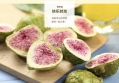 Freezing Drying Figs