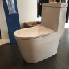 Fuerte 1035 Rimless One Piece Water Closet