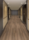 Spice 00720 [Composed] [SHAW] SPC 5.5 mm Vinyl Flooring