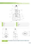 AUTOMATIC GAS VALVES - SLOW OPENING / FAST CLOSING 1-1/4, 1-1/2 AND 2 C PMAX 360 MBAR (DOSH & ST APPROVED)