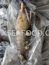 U2 unit to U16/20 SCAMPI(Ϻ/ͷϺ) FROZEN PRAWN