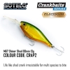 Shiner Shad PLATINIUM HARD LURE