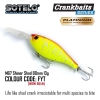 Shiner Shad PLATINIUM HARD LURE