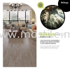 Ash Borneo Wood (Bellezza)  Borneo Wood (Bellezza) Wood Tiles