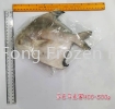 Sabah Pomfret Frozen Fish