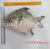 Sabah Pomfret Frozen Fish