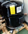 H20B313 BRISTOL COMPRESSOR MOTOR  H23A / H25A / H27A / H2BG / H2NG / H7NG / H7BG BRISTOL COMPRESSOR  COMPRESSORS