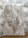 BABY OCTOPUS5/6PCS FROZEN SOTONG