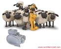 06NW 06NA CARRIER COMPRESSOR 06NA2123 - 06NA2300 / 06NW2123 - 06NW2300 CARRIER CARLYLE COMPRESSOR COMPRESSORS