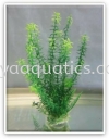 22-25cm(24pcs) Plastics Deco Plant Categories