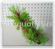 15-20cm-gong(20pcs) Plastics Deco Plant Categories