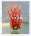 22-25cm(24pcs) Plastics Deco Plant Categories