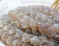 Mantis Shrimp Meat