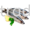 XK605 Saba 400-600 (Mackerel Fish) Fish Frozen Seafood