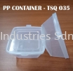 PP CONTAINER WITH HINGED (TSQ 035) PP CONTAINER WITH HINGED CONTAINER