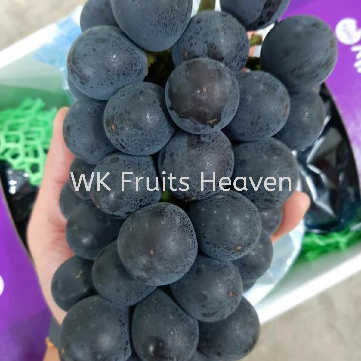 Korea Kyoho Grapes Supplier Suppliers Supply Supplies Import Fruits Wk Fruits Heaven Sdn Bhd
