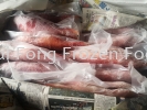 Coral Trout (0.8/1.3kg) Frozen Fish