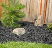 Recycled Rubber Mulch Playground Surfacing 