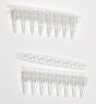 PCR Tube Strips 8 X 0.2ml Consumables Boekel Scientific Laboratory & Environmental Products