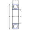 Deep Grove Ball Bearing (Open) Bearing