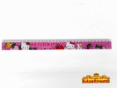 FANCY RULER 30CM 5'S/PKT Ruler & Sharpeners School & Office Equipment Stationery & Craft