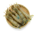 Mantis Shrimp Meat