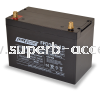 FFD100-12 Dual Purpose AGM Battery Golf / Electric Vehicle Application Fullriver AGM Battery