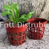 Seedlings Flower Pot Flower Pot & Tray Gardening