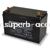 FFD110-12 Dual Purpose AGM Battery Floor Cleaning Equipment Application Fullriver AGM Battery