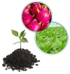 Active Organic Solution Liquid Fertilizer Products