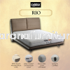 MYLATEX RIO Queen 6"H MYLATEX MATTRESS BUY NOW