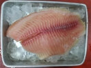 Talapia Fillet  Frozen Fish Fillet English Version