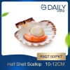 Half Shell Scallop 6-7cm Scallop / Squid / Shell Seafood