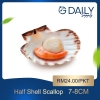 Half Shell Scallop 6-7cm Scallop / Squid / Shell Seafood