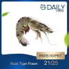 Black Tiger Prawn 6/8 Crab / Prawn
