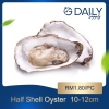 Half Shell Oyster 8-10cm Scallop / Squid / Shell Seafood