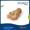 Slipper Lobster 80/130 Crab / Prawn