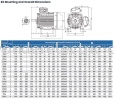 SWE Series Three Phase Asynchronous Induction Fire Pump Motor (UL Listed) UL Listed Fire Pump Motor