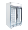 Silver 2 Door Display Freezer (Premium) Freezer Premium Display Series Display Series