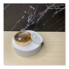 30g Squre Acrylic Jar (Gold) - AJ003 Acrylic Jars Jars