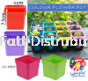 9cm Pasu Pokok Bunga Flower Pot - LSL-100C (Random Colour) Flower Pot & Tray Gardening