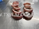 SOTONG RING AAA (ON SKIN/LESS ICE) FROZEN SOTONG