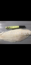 Dory Fillet AAA (NO GLZ) FROZEN FISH MEAT FROZEN FISH