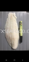 Dory Fillet AAA (NO GLZ) FROZEN FISH MEAT FROZEN FISH